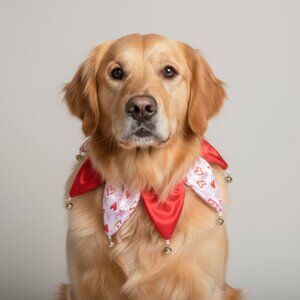 Pink dog collar, dog costume, dog Valentine's day collar